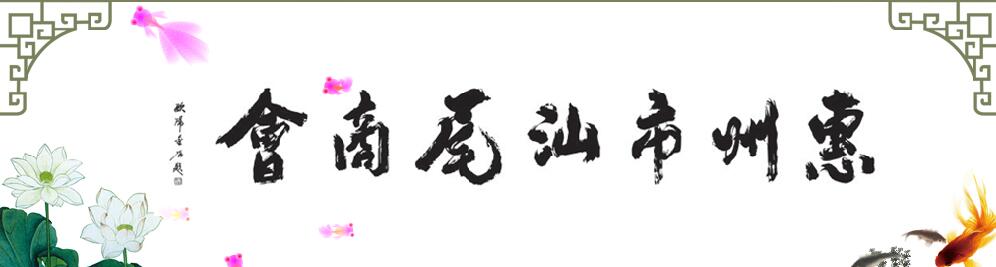 惠州市汕尾商会