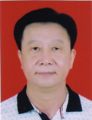 名誉会长林木成